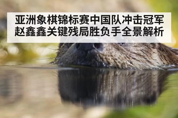 亚洲象棋锦标赛中国队冲击冠军赵鑫鑫关键残局胜负手全景解析